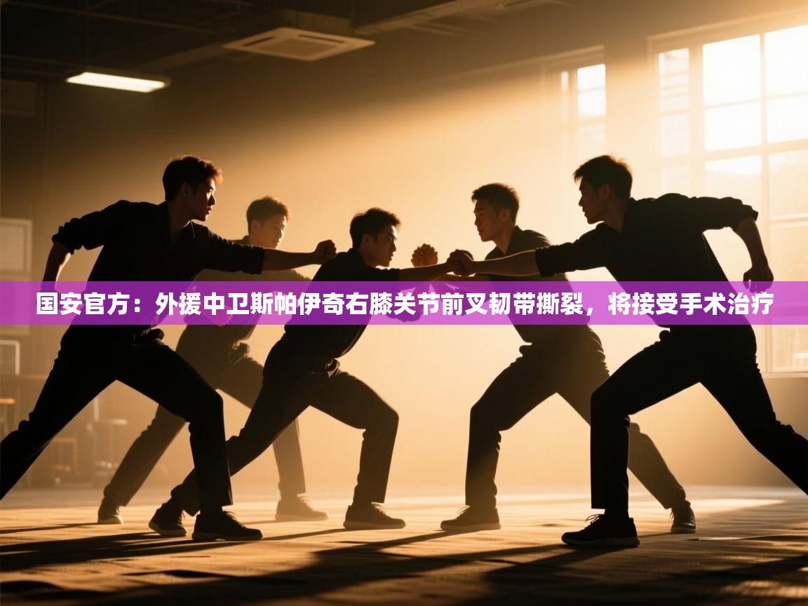 国安官方：外援中卫斯帕伊奇右膝关节前叉韧带撕裂，将接受手术治疗  第2张