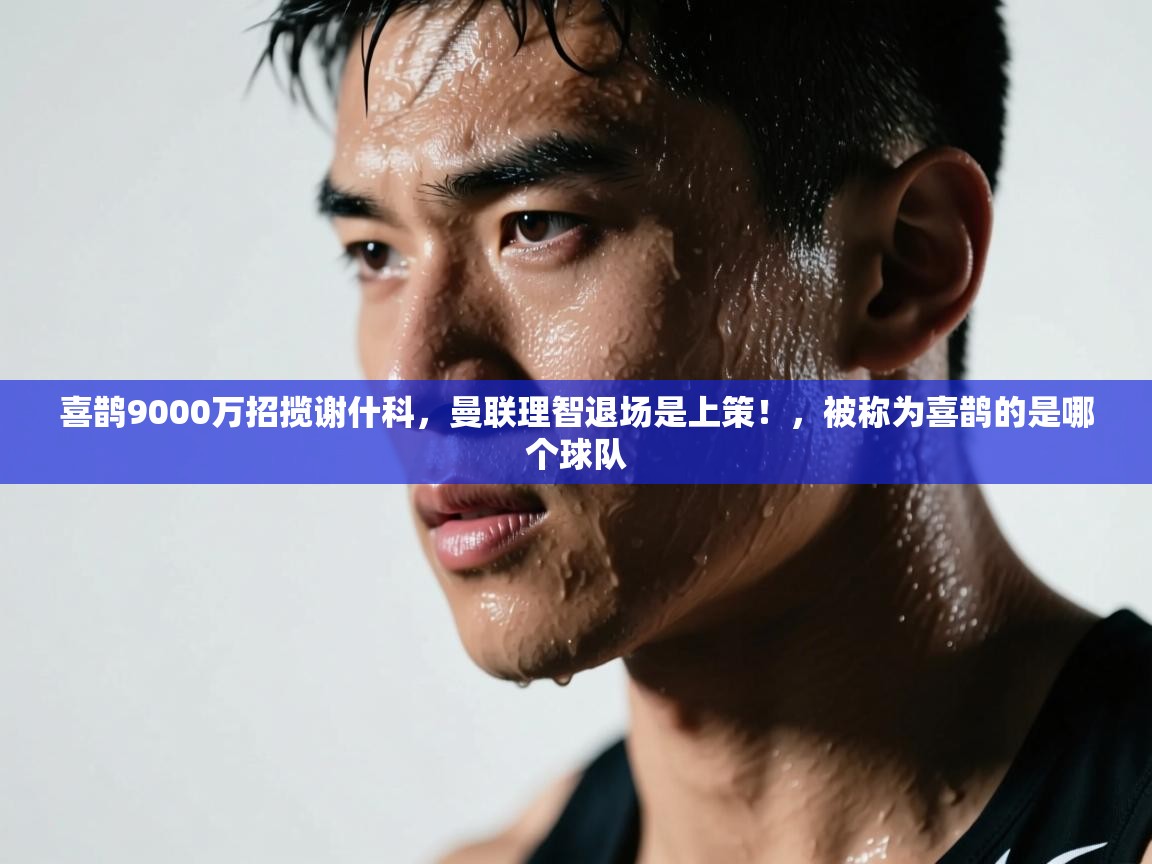 喜鹊9000万招揽谢什科，曼联理智退场是上策！，被称为喜鹊的是哪个球队  第1张