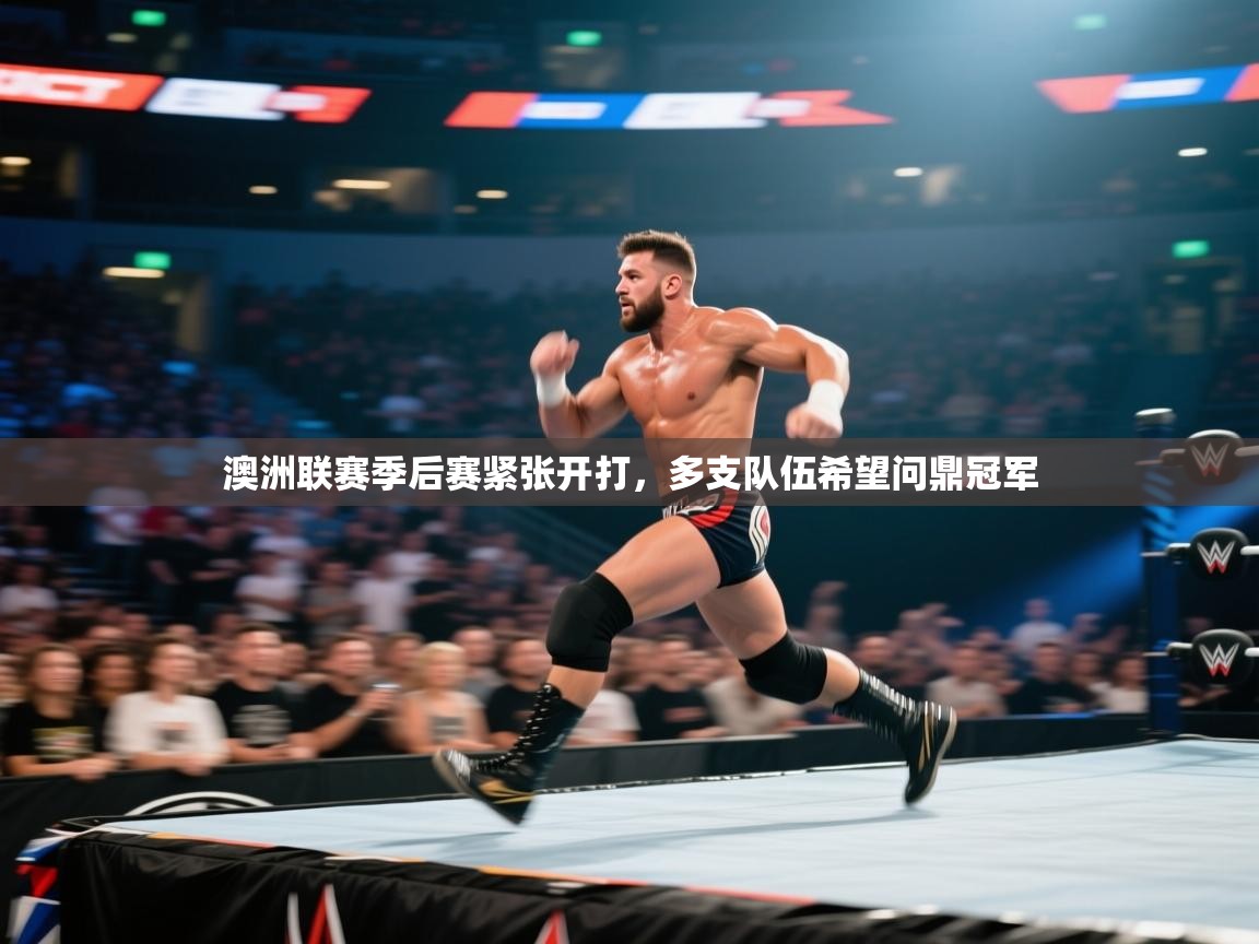 澳洲联赛季后赛紧张开打,多支队伍希望问鼎冠军 第1张