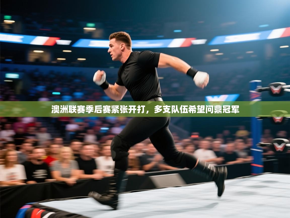 澳洲联赛季后赛紧张开打,多支队伍希望问鼎冠军 第2张