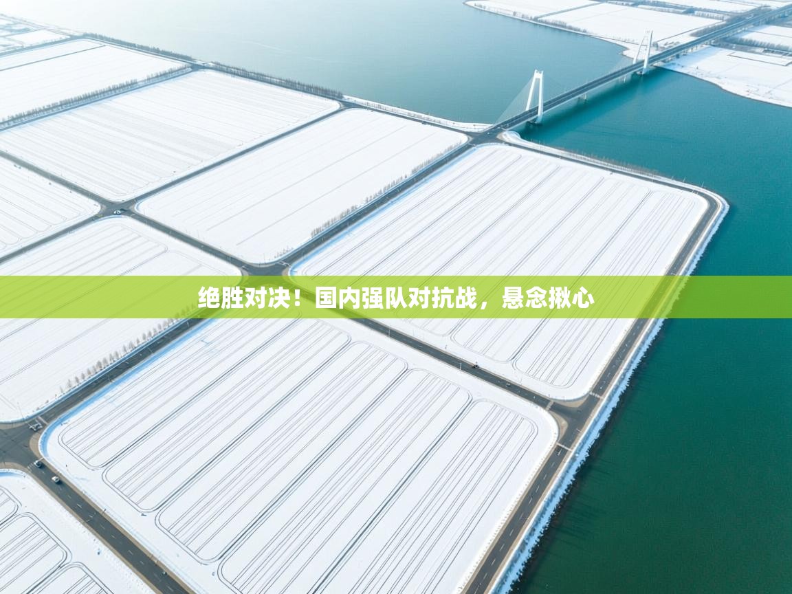 绝胜对决！国内强队对抗战，悬念揪心  第1张