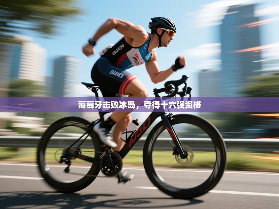 葡萄牙击败冰岛，夺得十六强资格  第2张