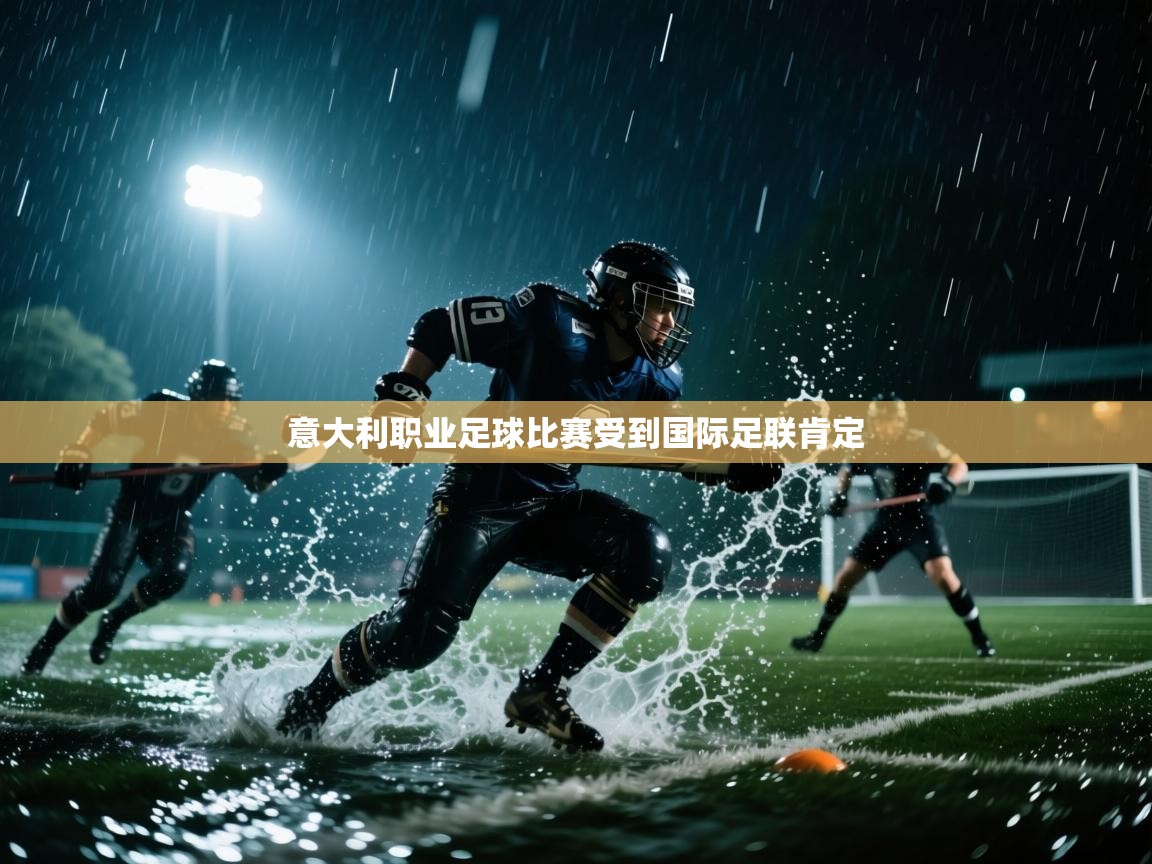意大利职业足球比赛受到国际足联肯定  第2张