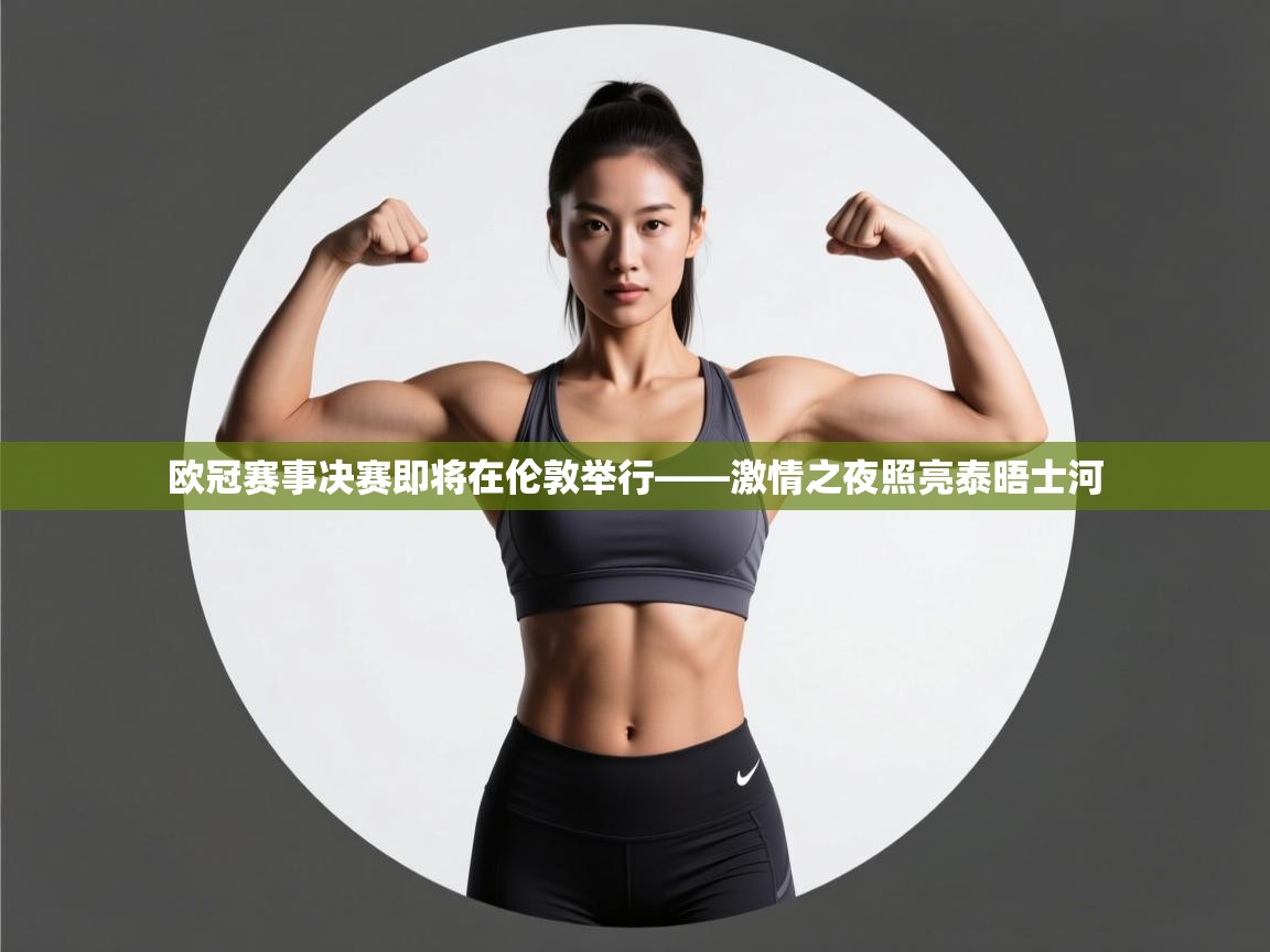 欧冠赛事决赛即将在伦敦举行——激情之夜照亮泰晤士河 第2张