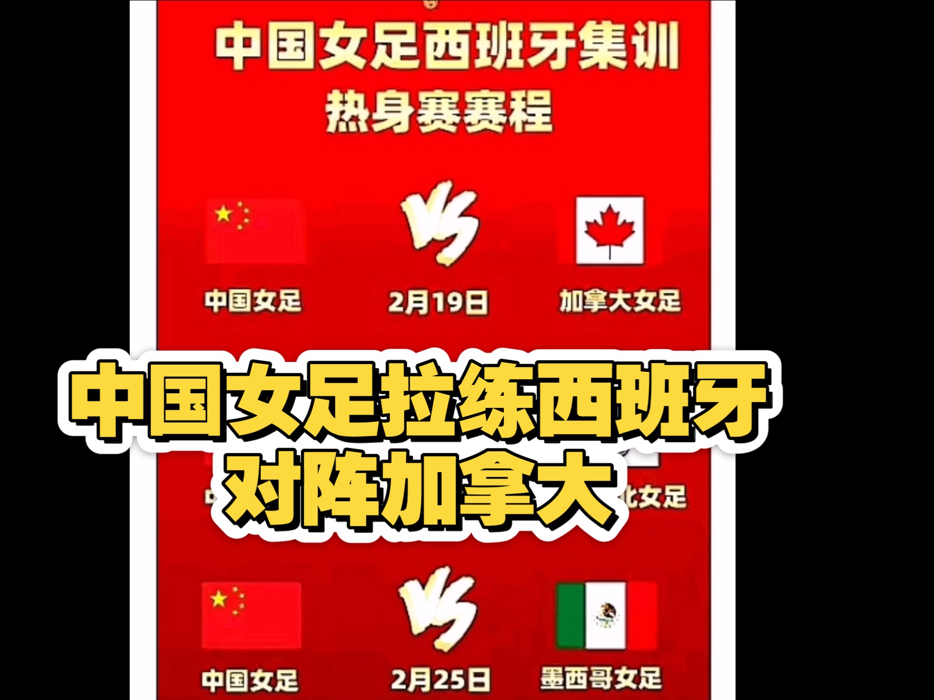 加拿大女足选手大放异彩，国际赛事表现出色的简单介绍
